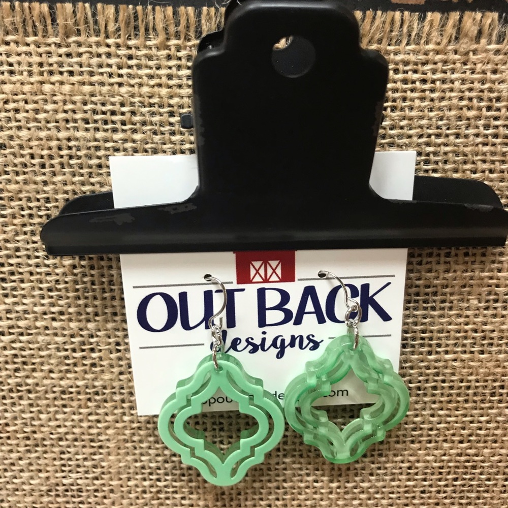 NWT Acrylic Hypoallergenic Earrings